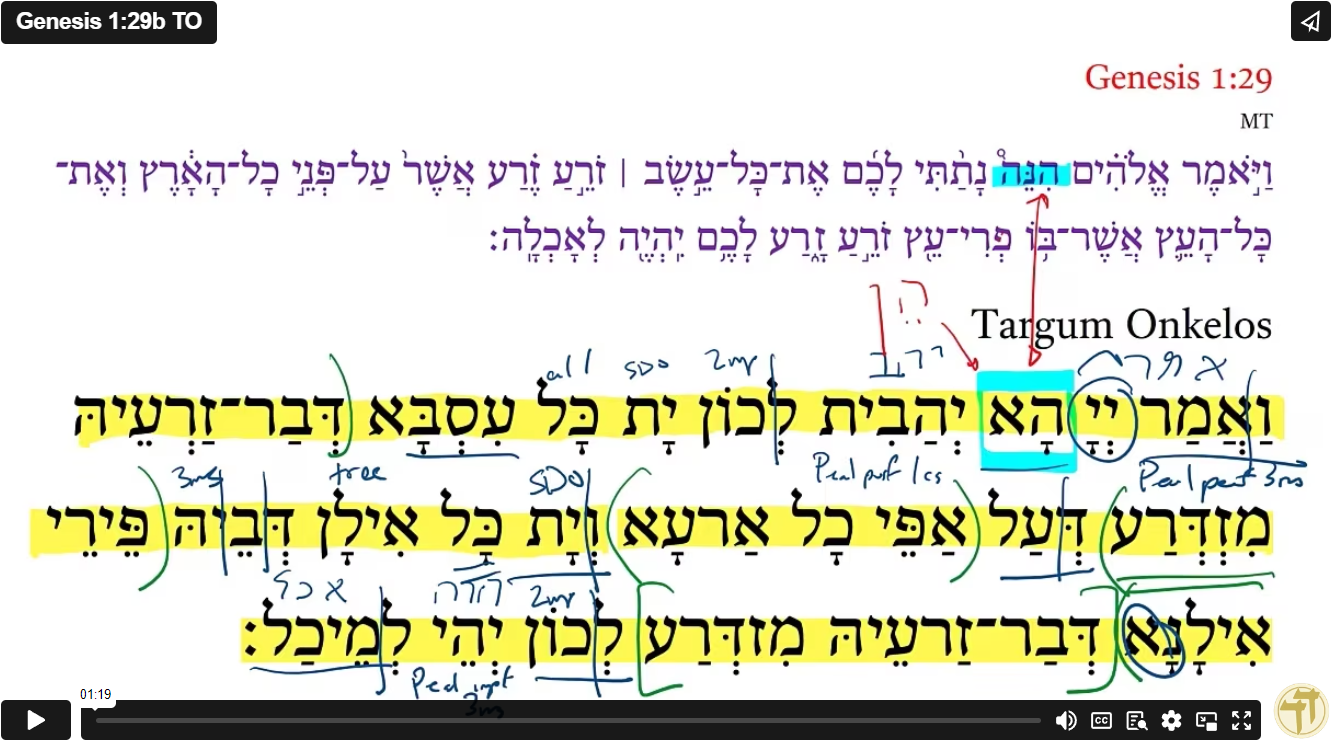 Genesis 1:29b TO