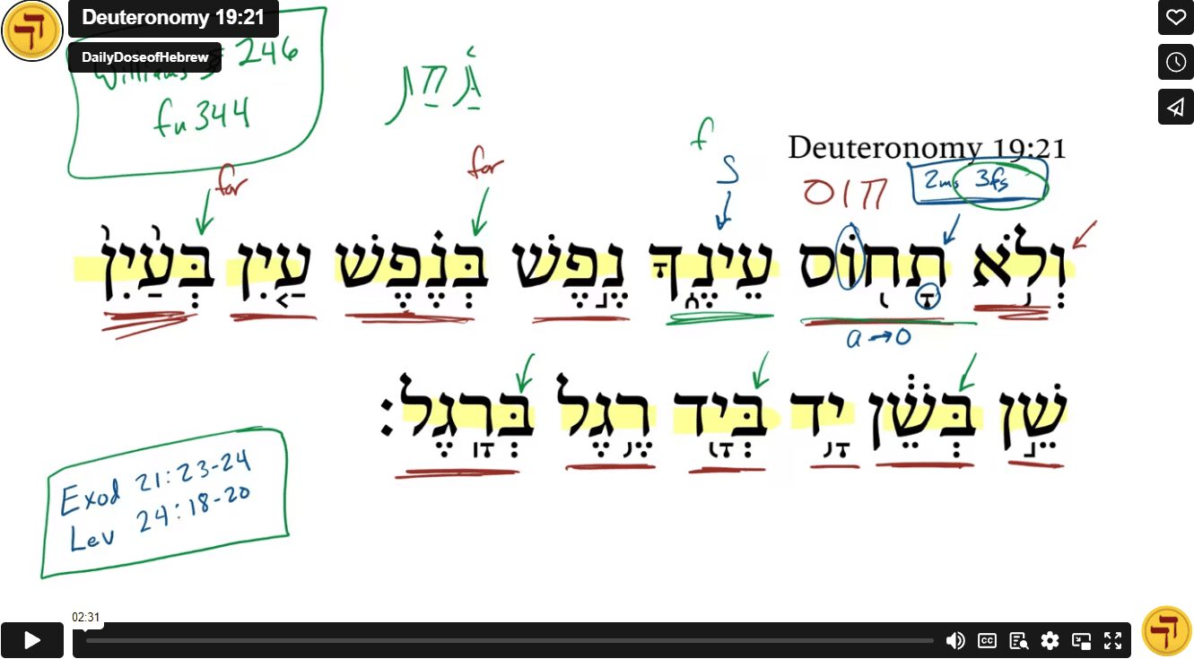 Deuteronomy 19:21