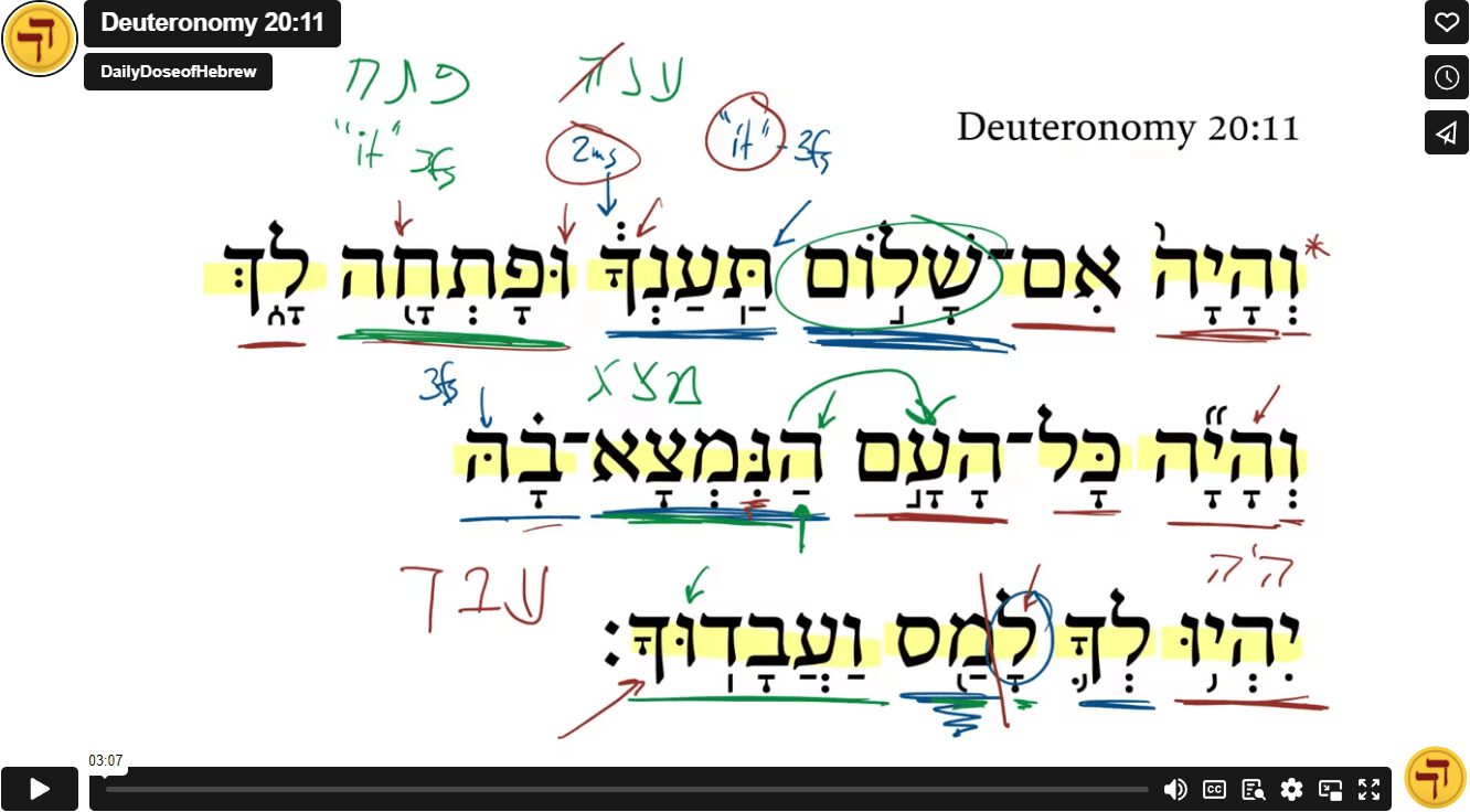 Deuteronomy 20:11