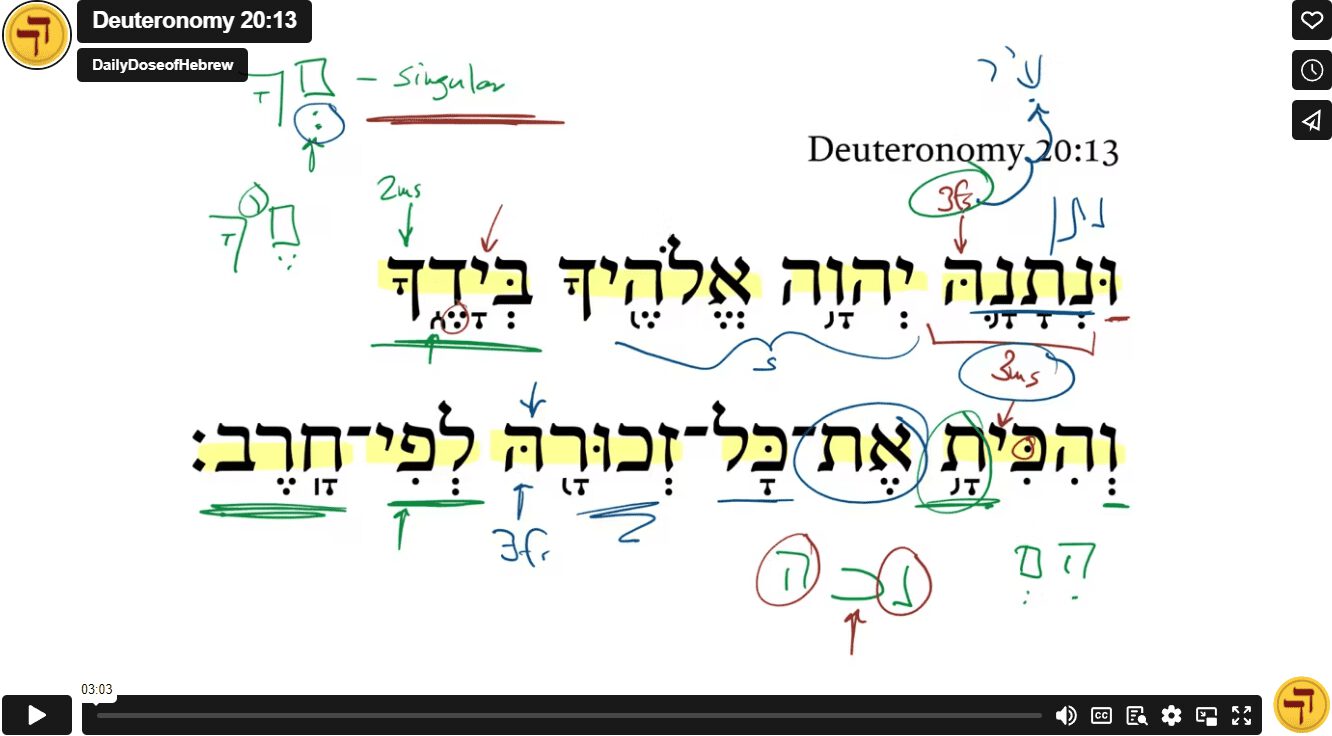 Deuteronomy 20:13