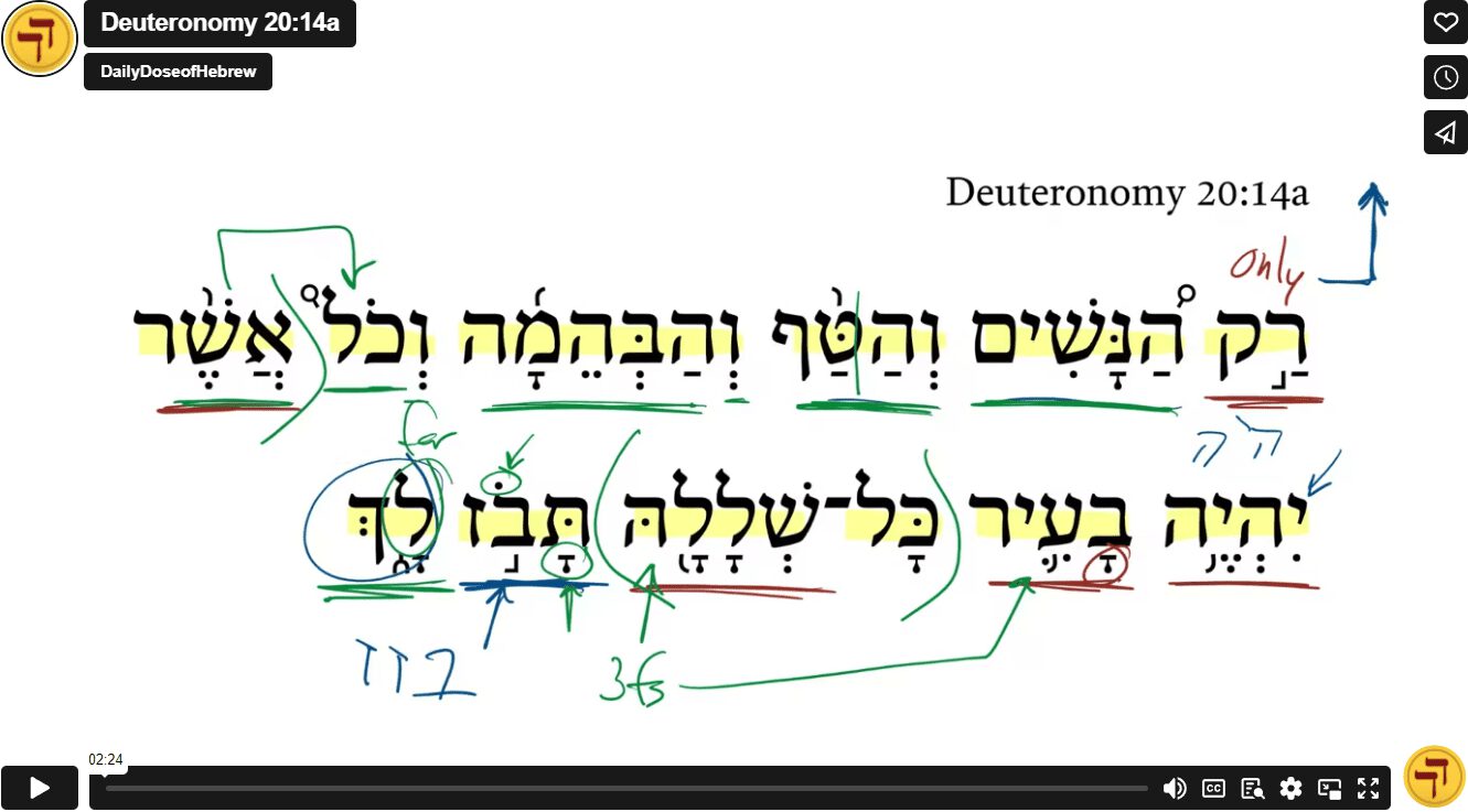 Deuteronomy 20:14a