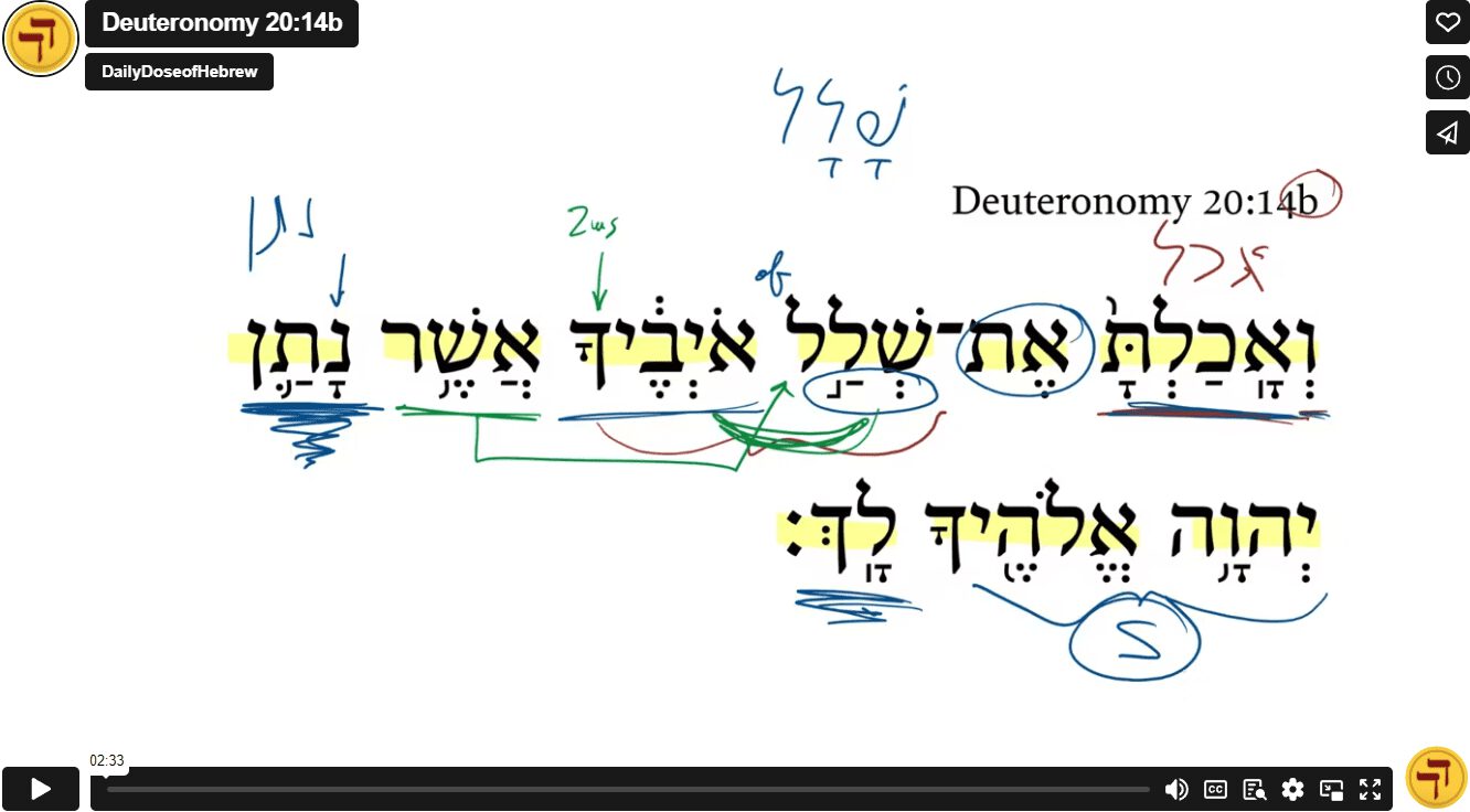 Deuteronomy 20:14b