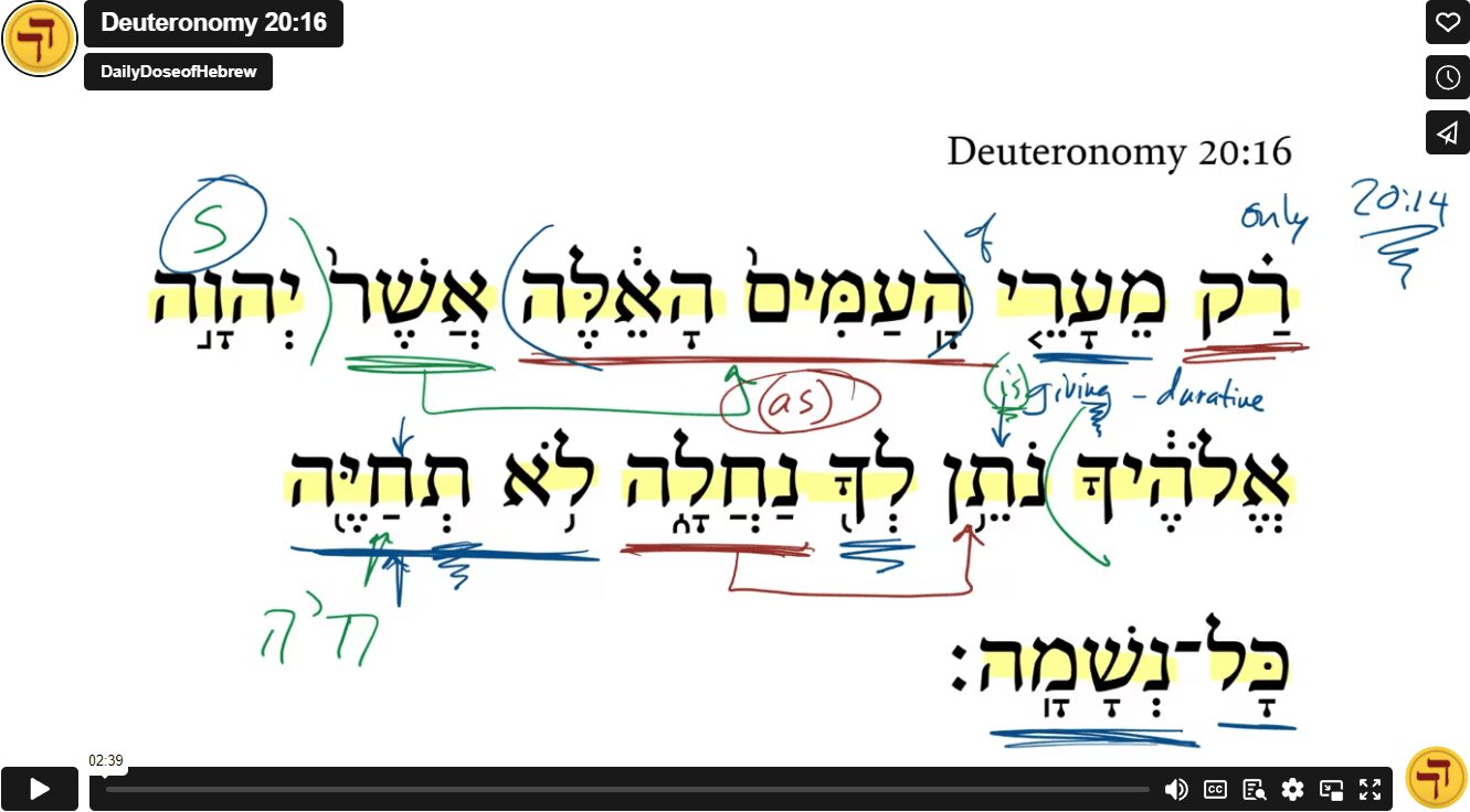 Deuteronomy 20:16