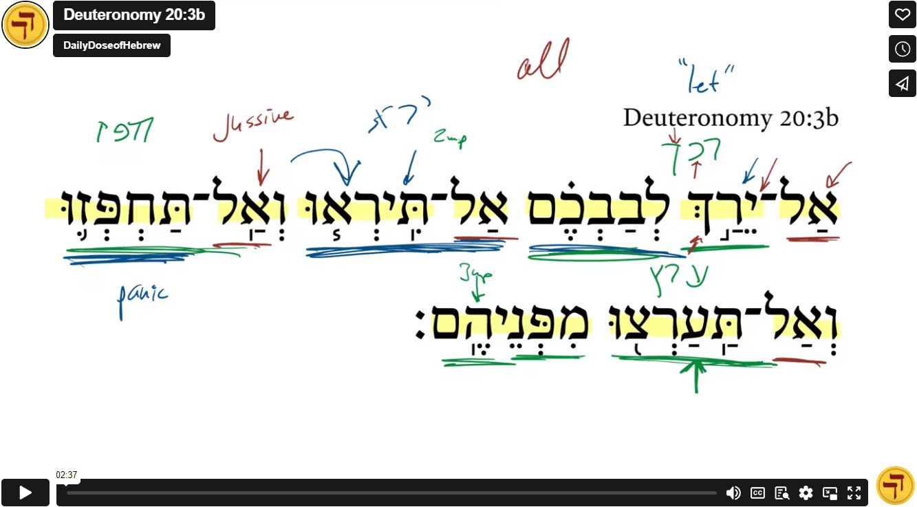 Deuteronomy 20:3b