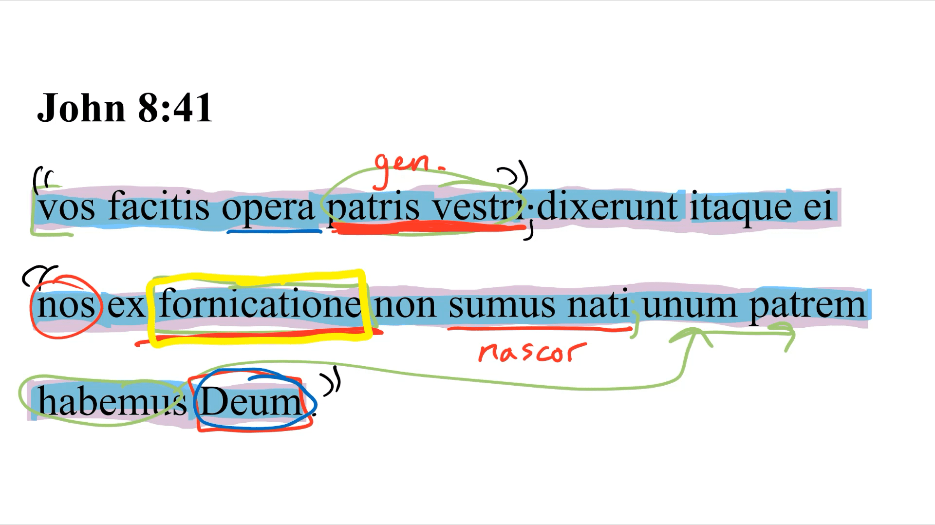 John 8:41 Latin Vulgate