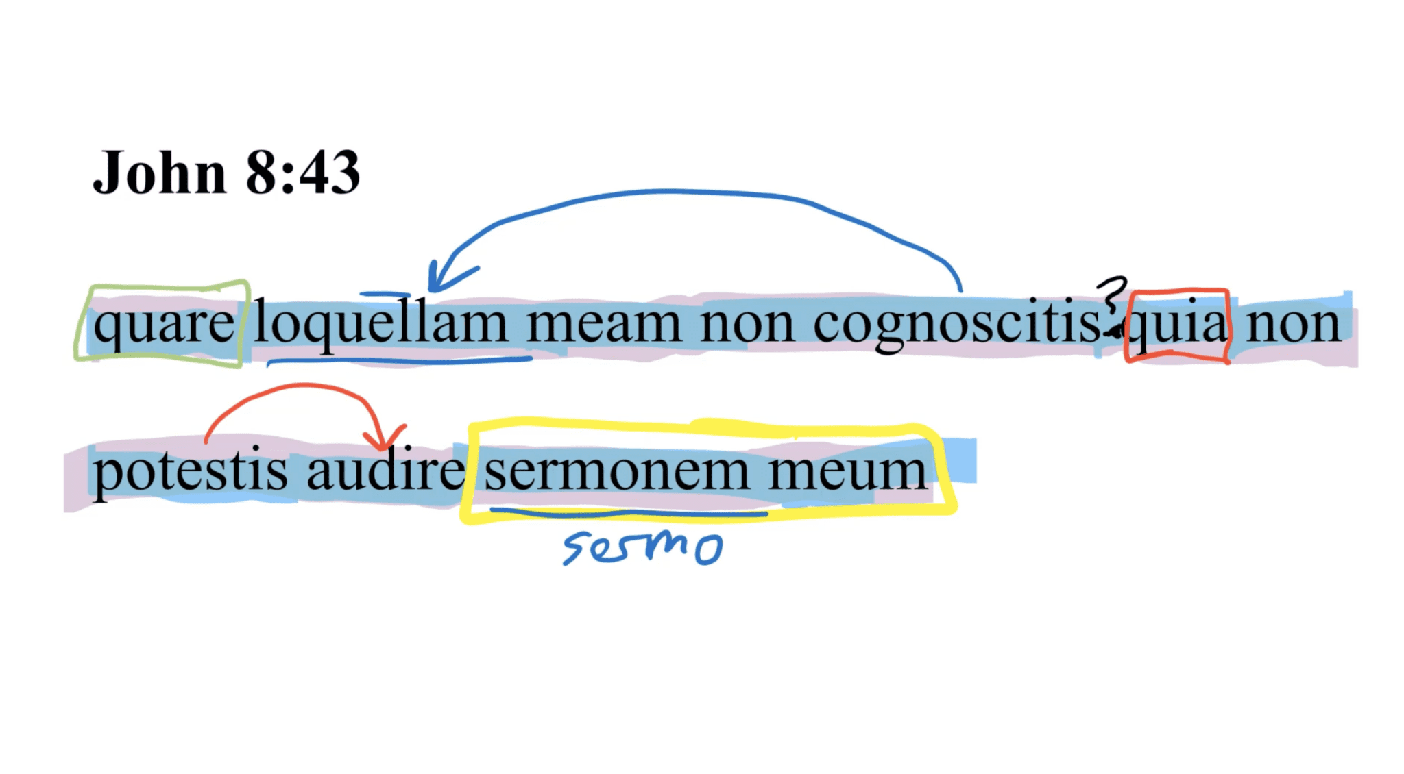John 8:43 Latin Vulgate