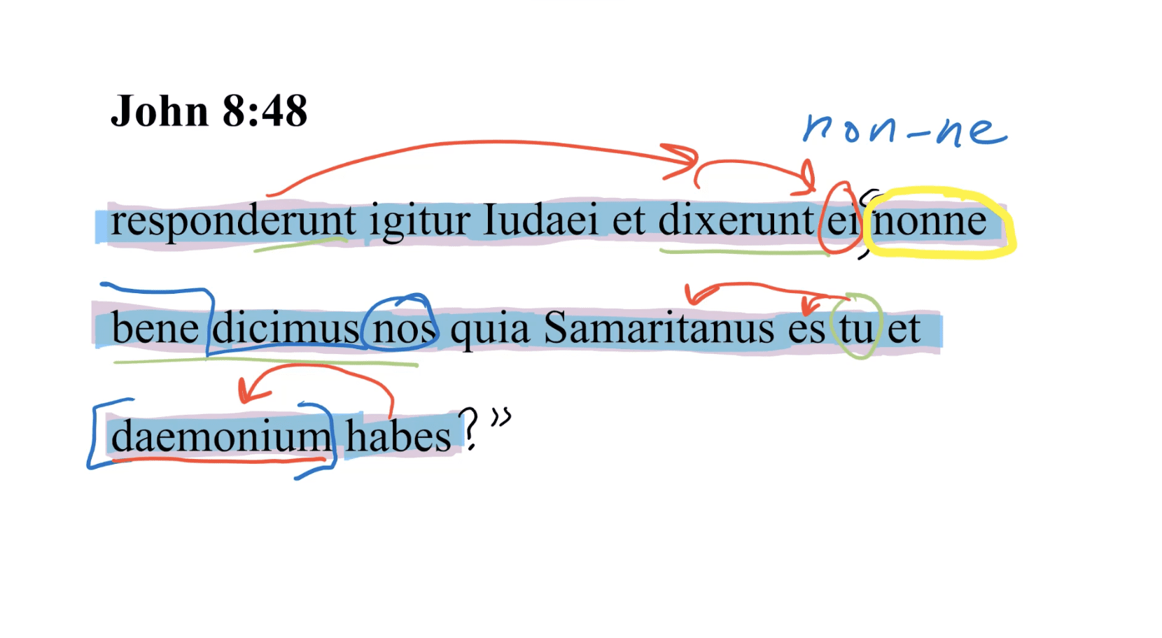 John 8:48 Latin Vulgate