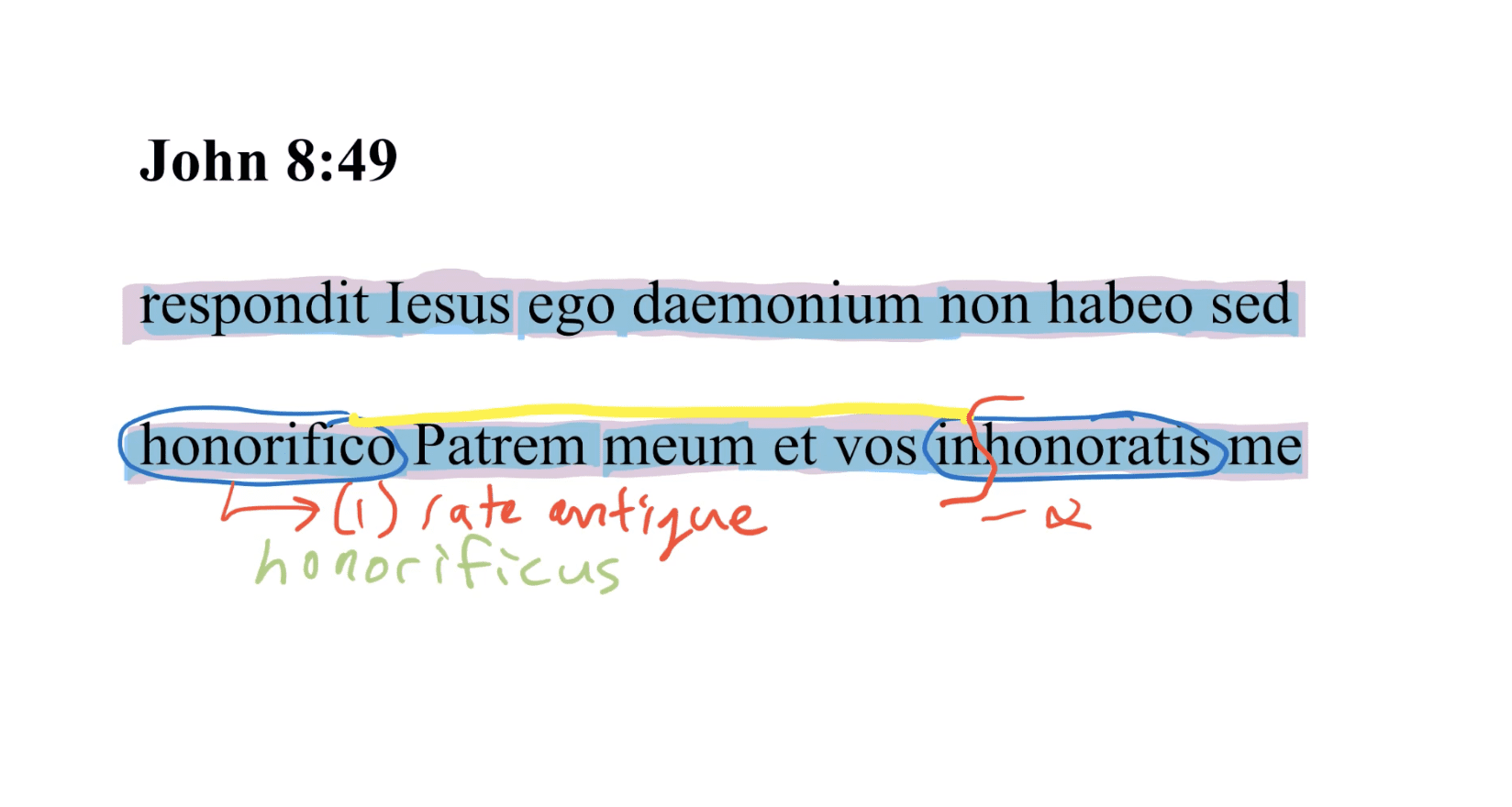 John 8:49 Latin Vulgate
