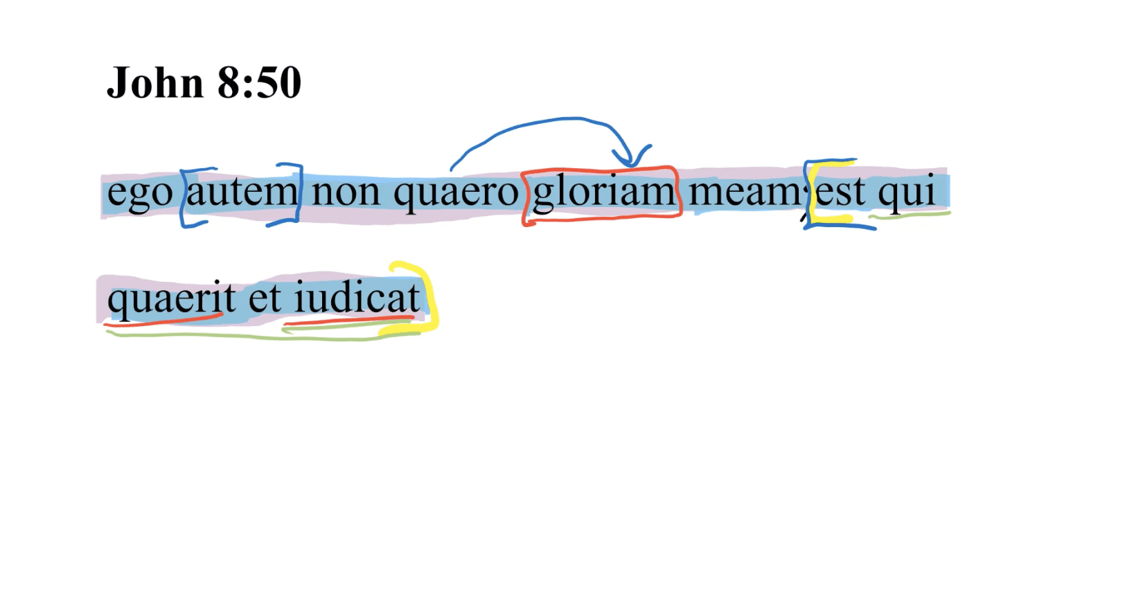 John 8:50 Latin Vulgate