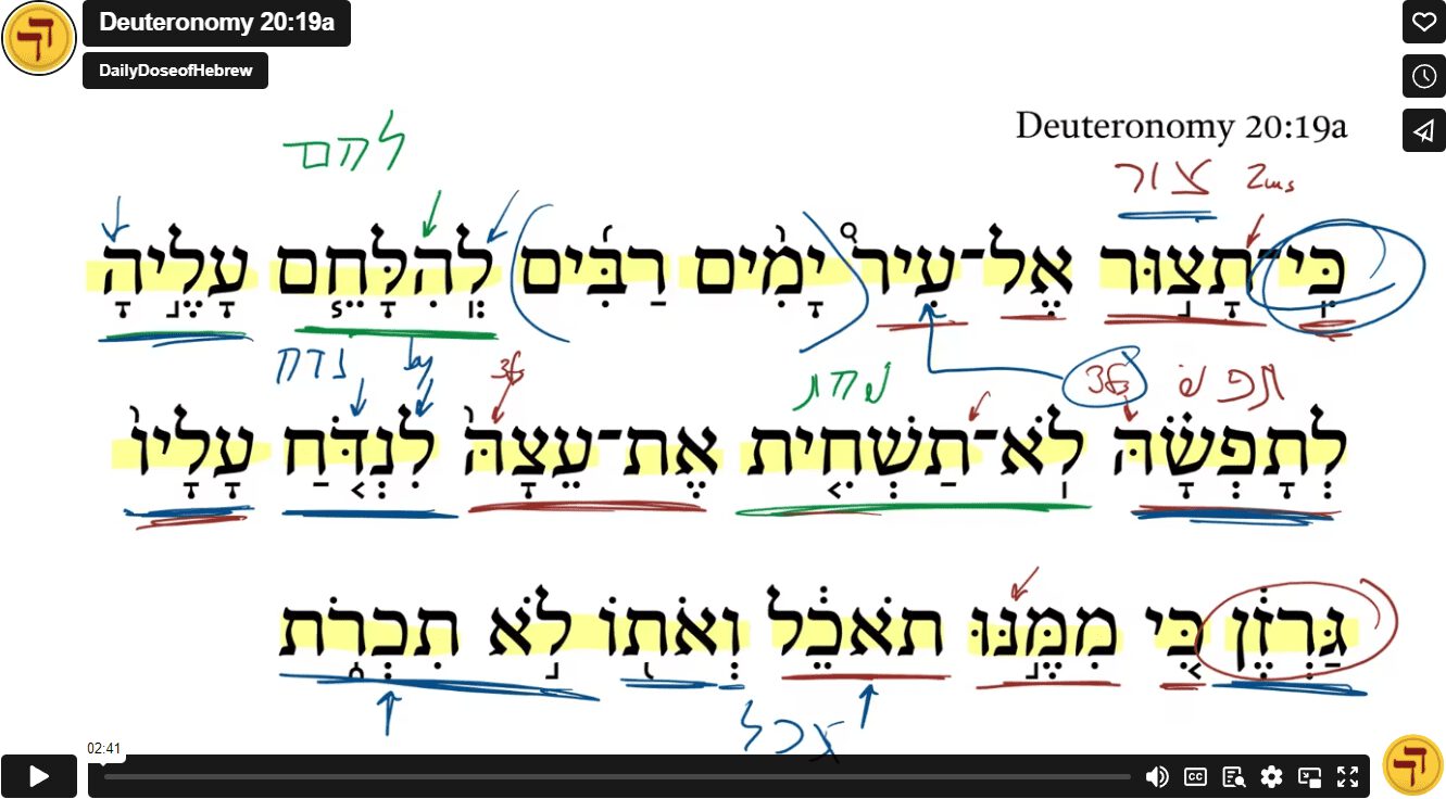 Deuteronomy 20:19a