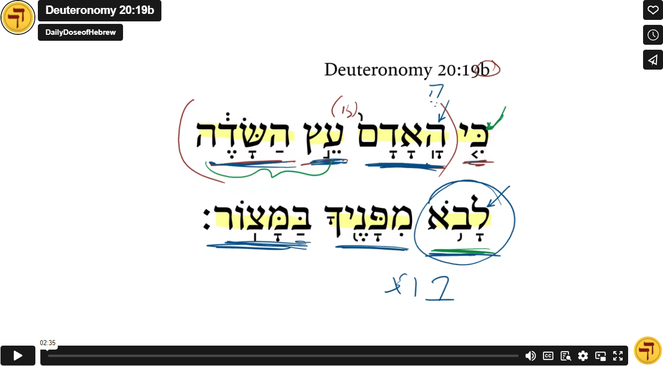 Deuteronomy 20:19b