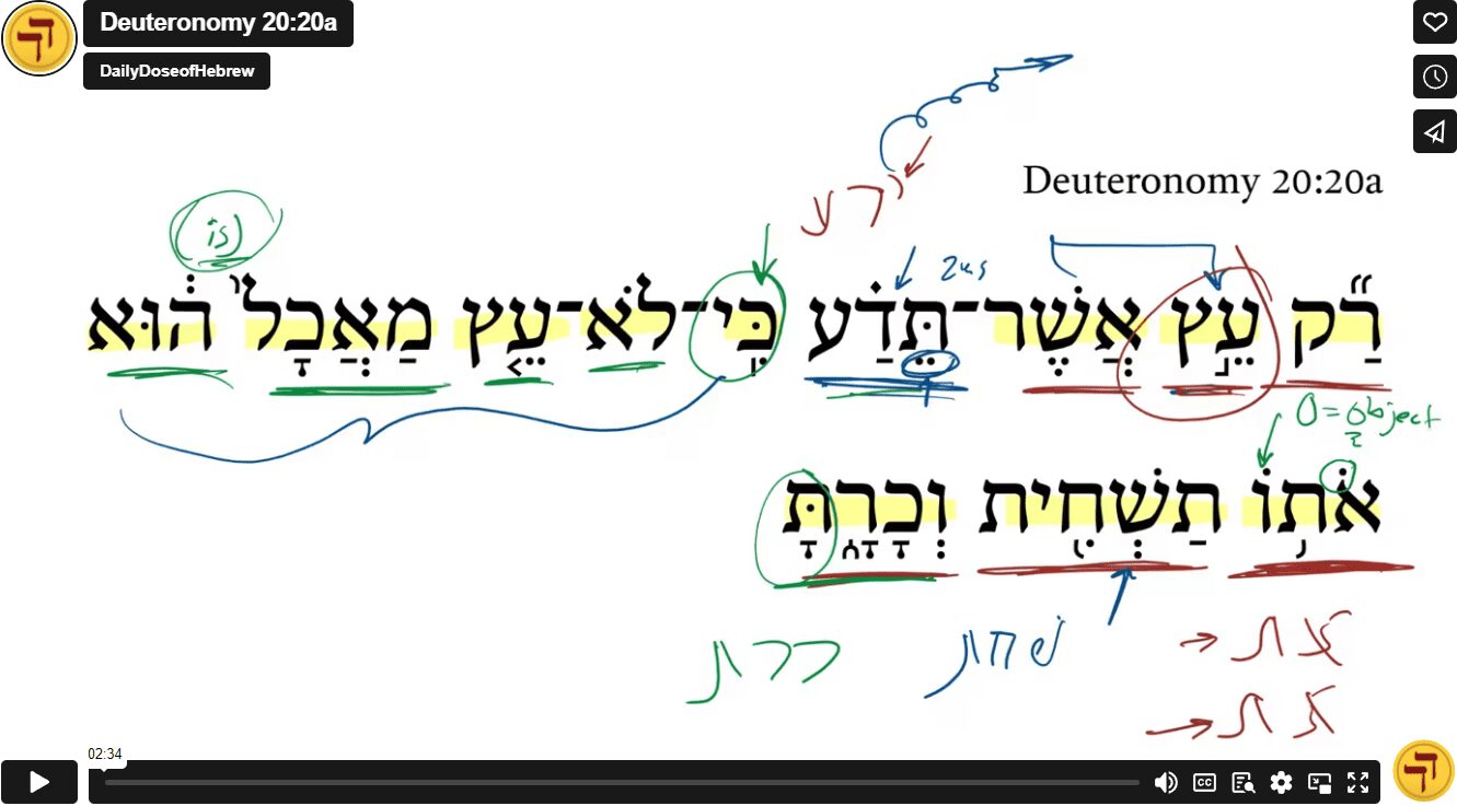 Deuteronomy 20:20a