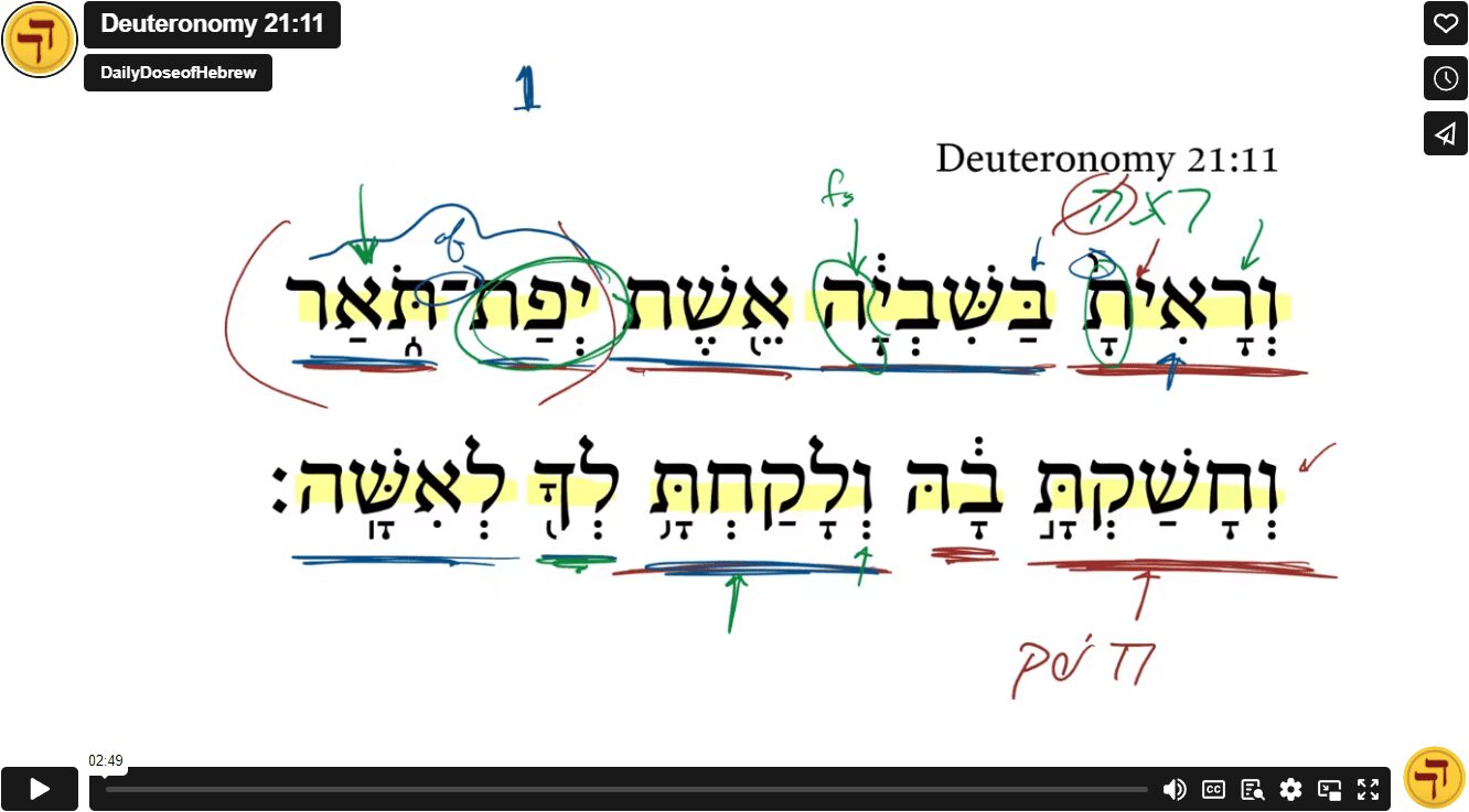 Deuteronomy 21:11