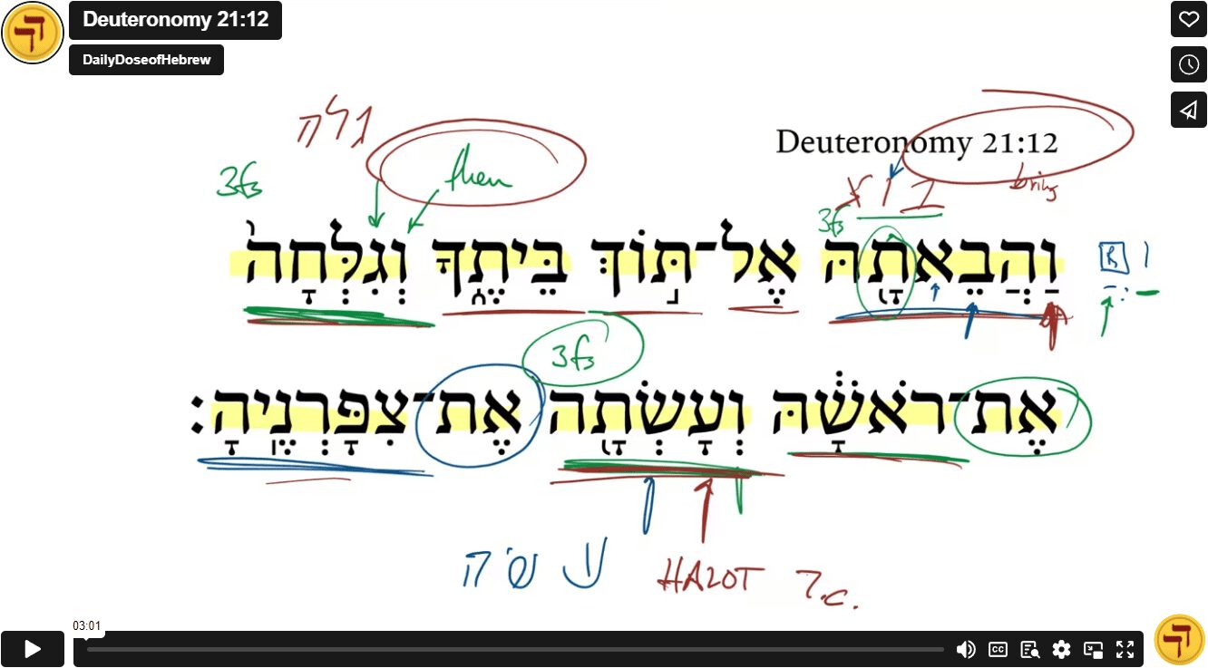 Deuteronomy 21:12