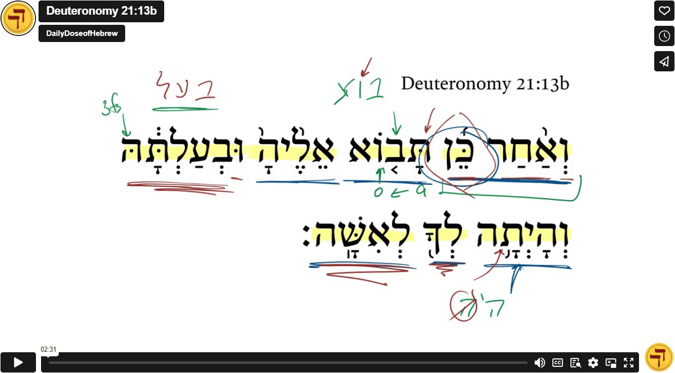 Deuteronomy 21:13b