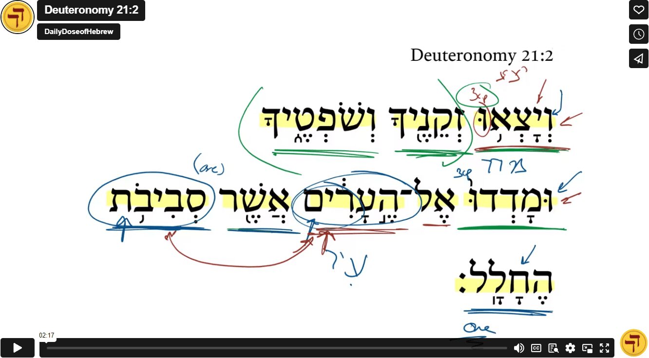Deuteronomy 21:2