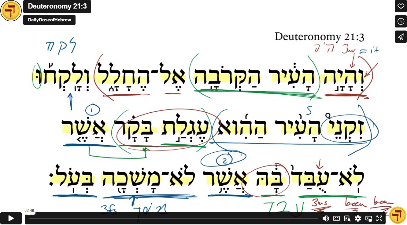 Deuteronomy 21:3