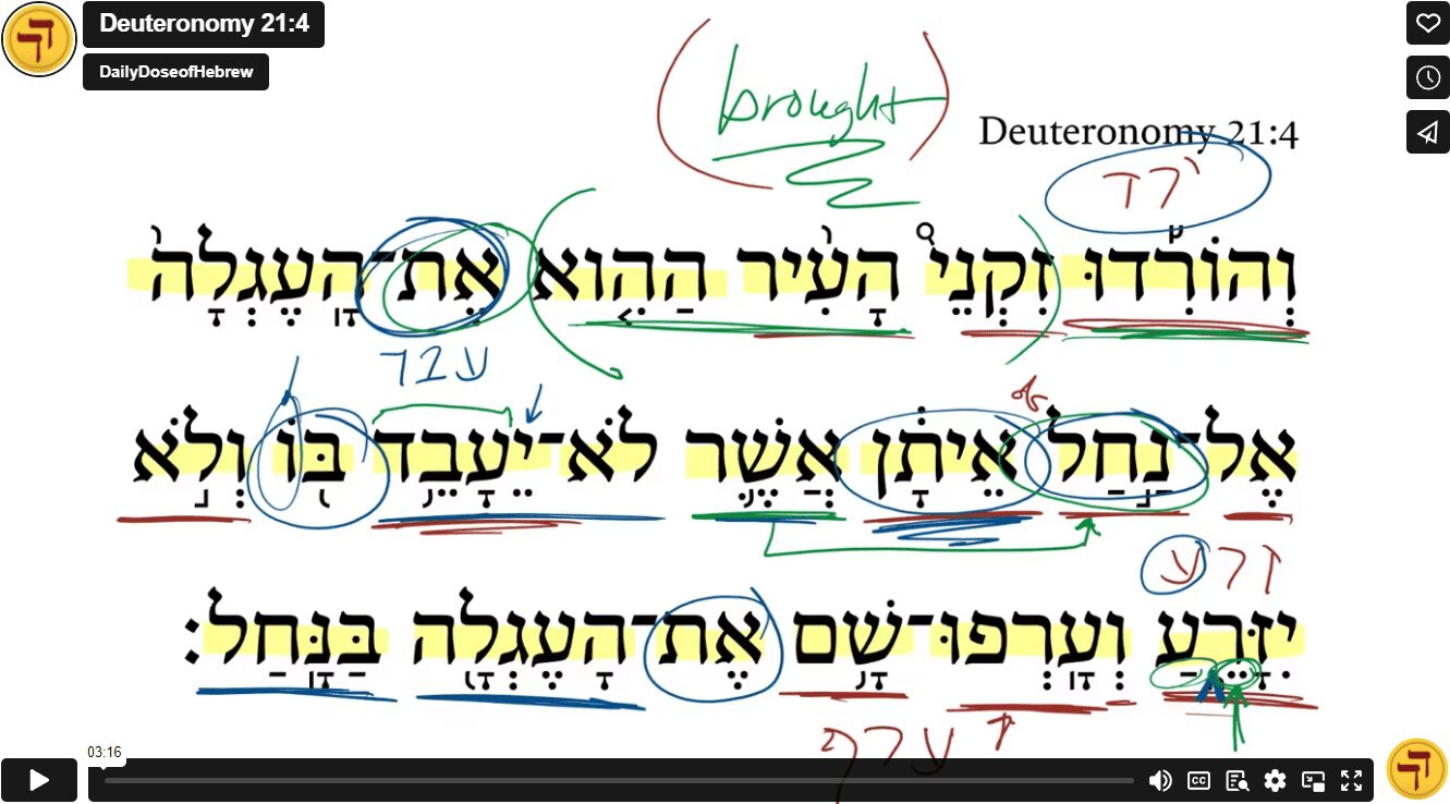 Deuteronomy 21:4