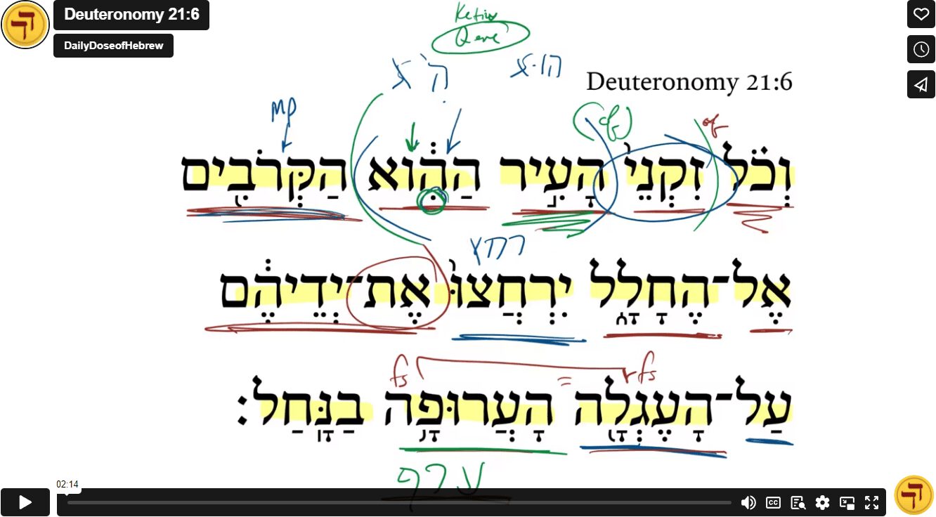Deuteronomy 21:6
