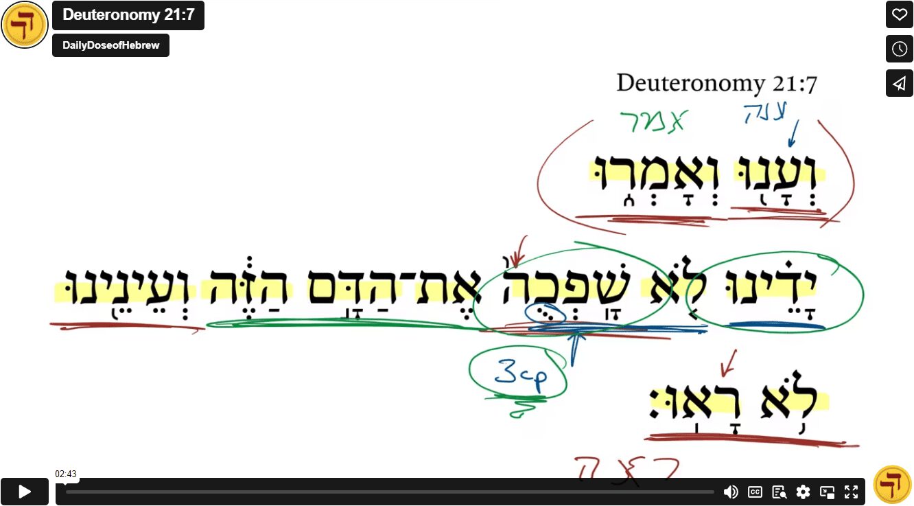 Deuteronomy 21:7