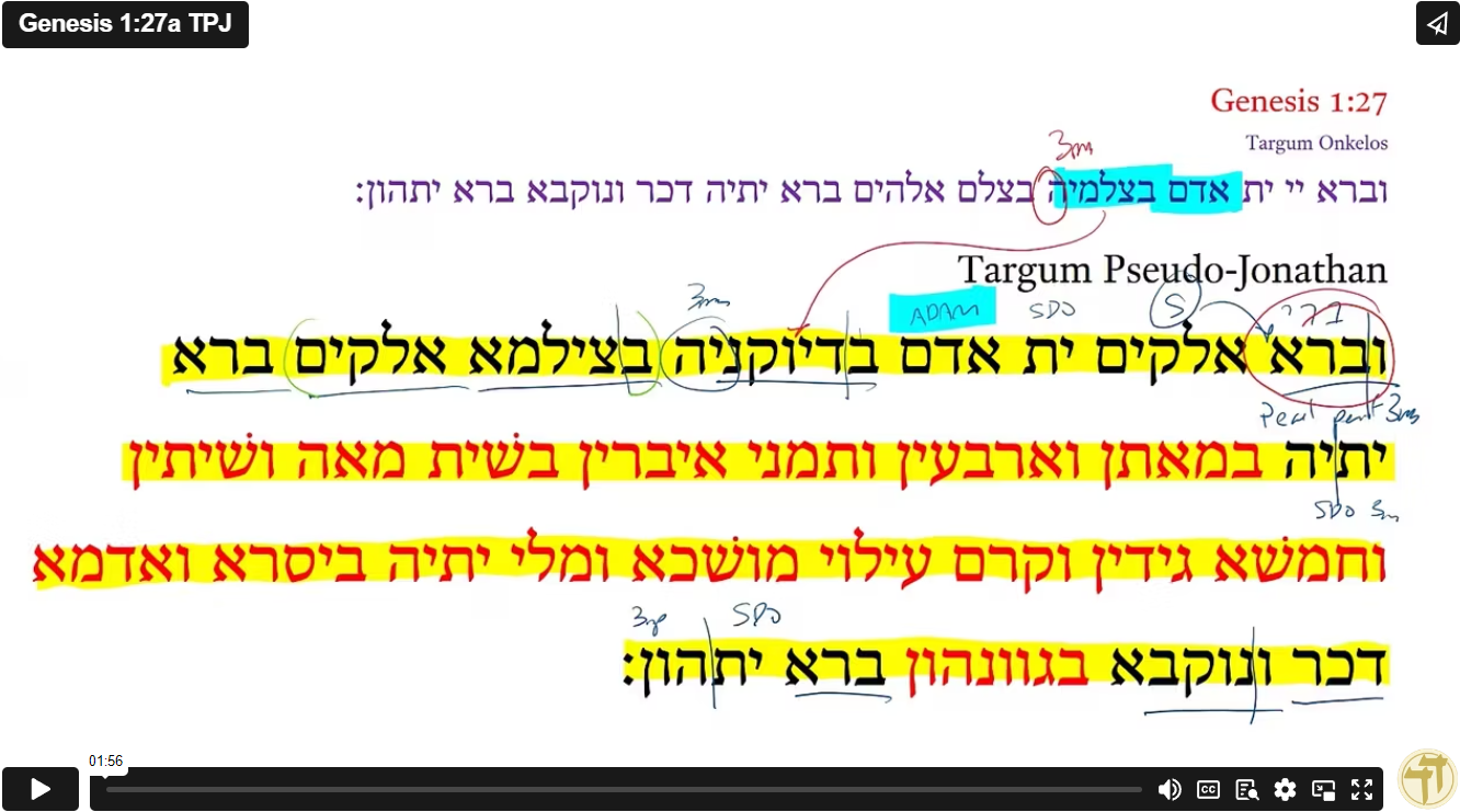 Genesis 1:27a TPJ