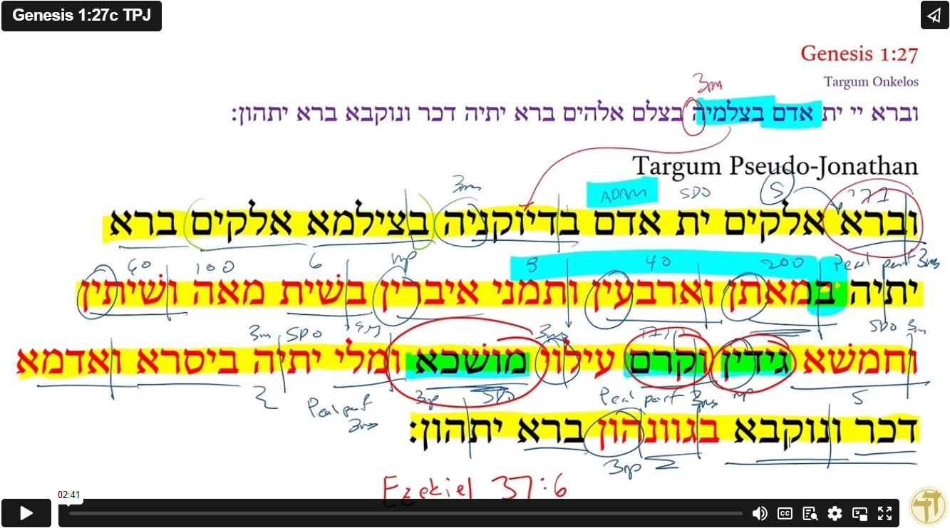 Genesis 1:27c TPJ