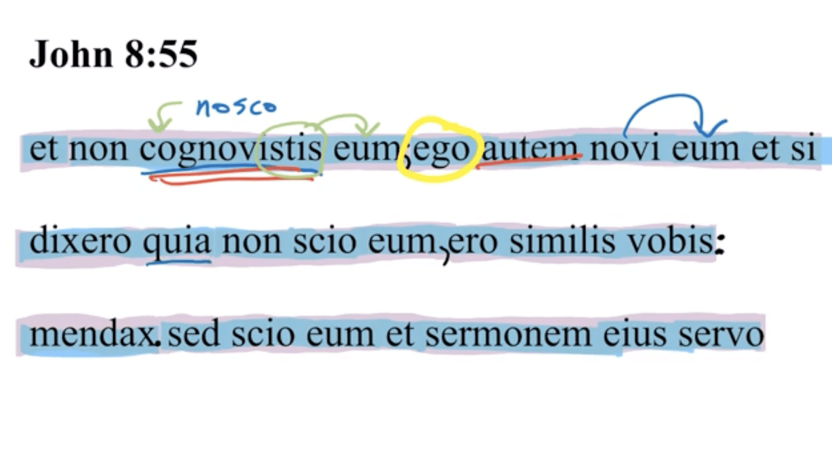 John 8:55 Latin Vulgate
