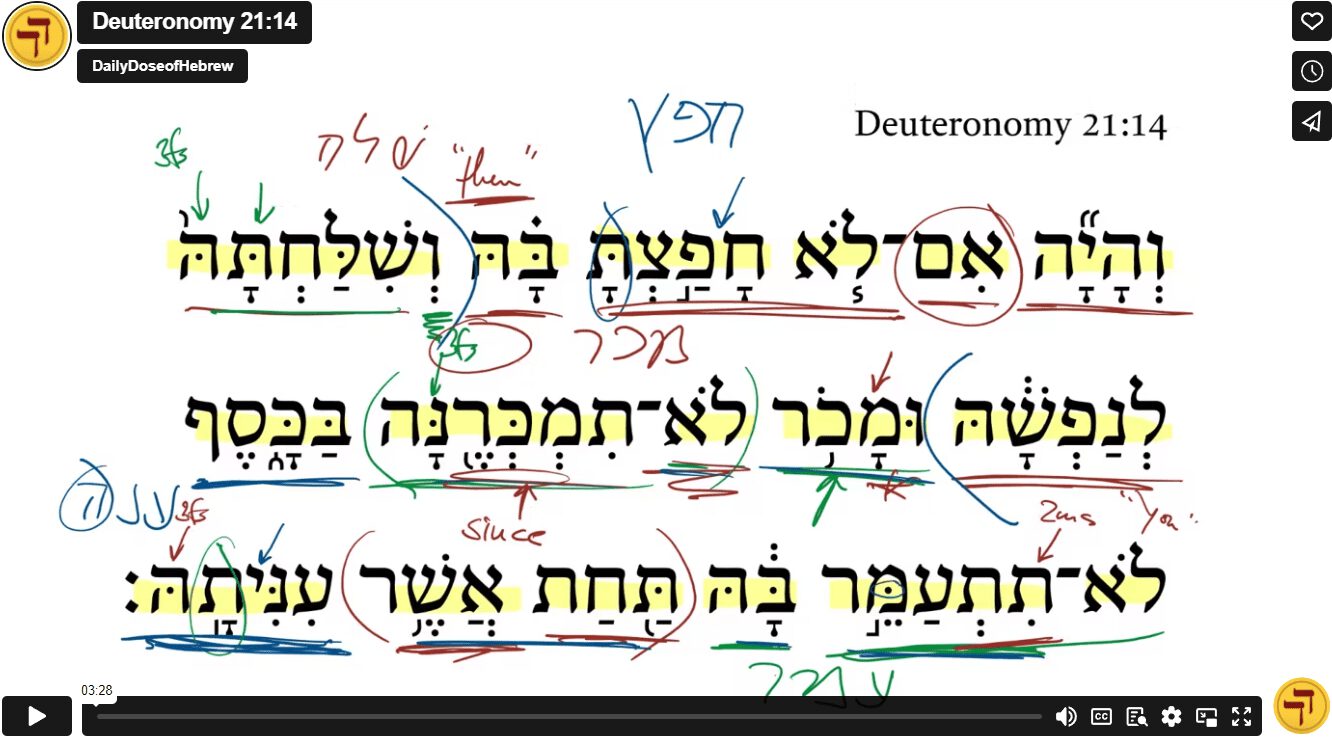 Deuteronomy 21:14