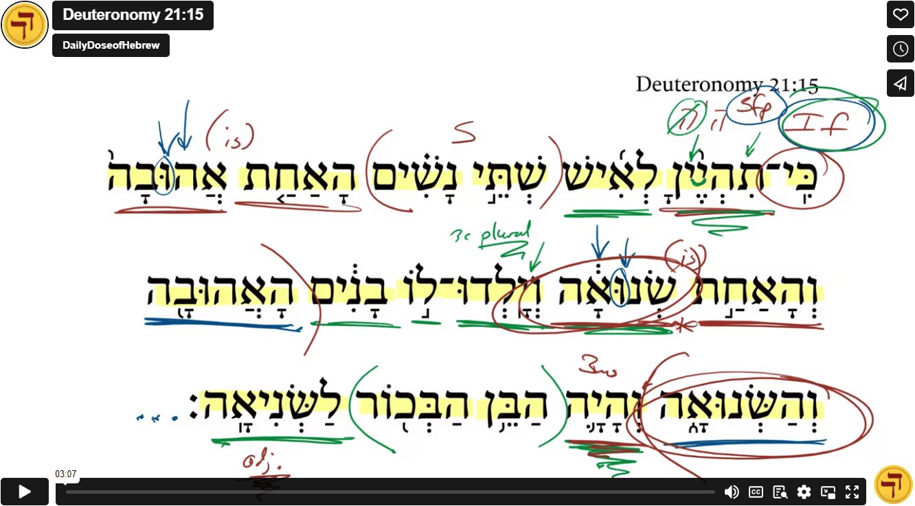 Deuteronomy 21:15