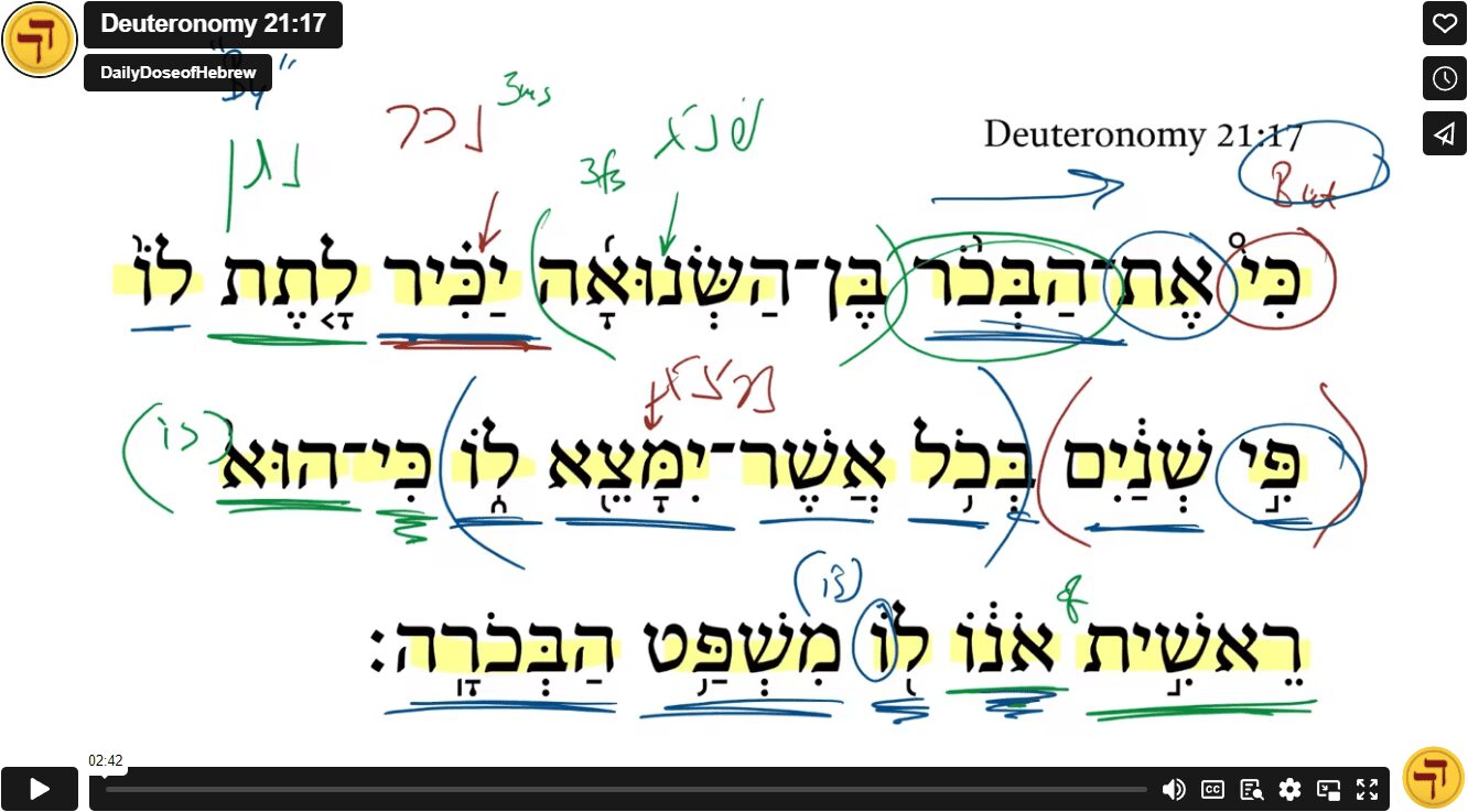 Deuteronomy 21:17