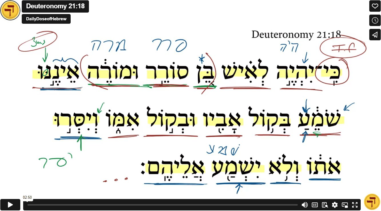 Deuteronomy 21:18