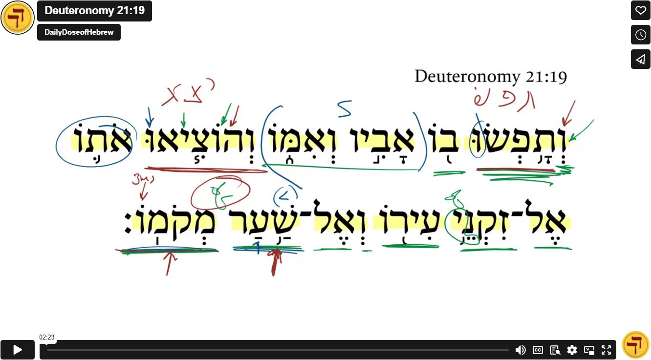 Deuteronomy 21:19