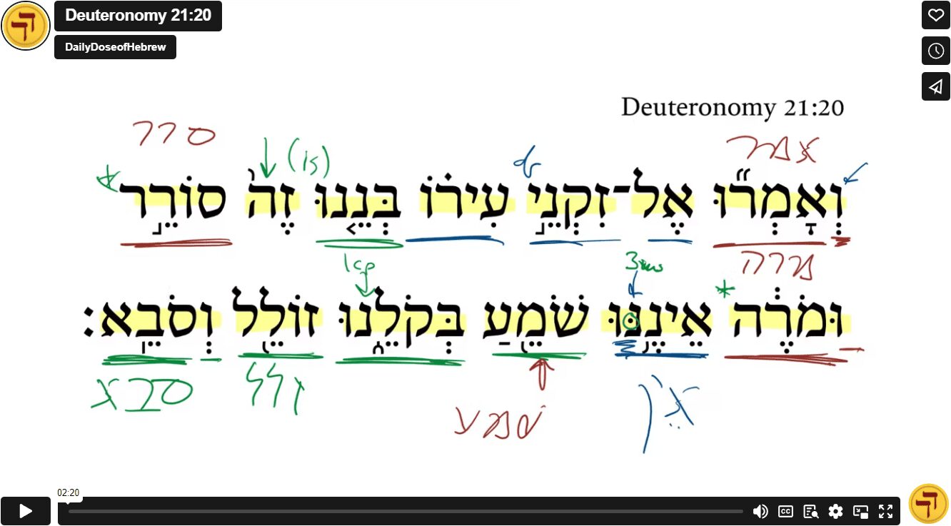 Deuteronomy 21:20