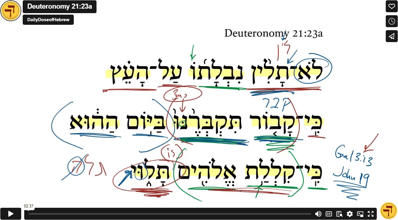Deuteronomy 21:23a