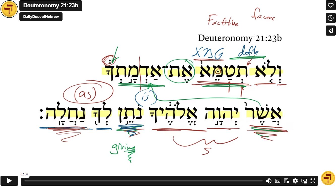 Deuteronomy 21:23b