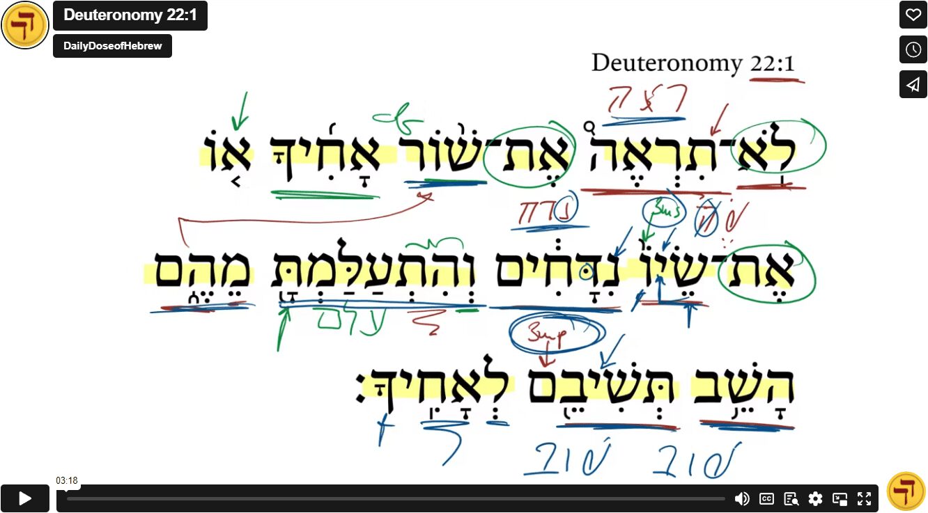 Deuteronomy 22:1