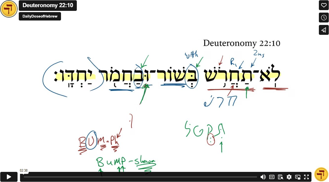 Deuteronomy 22:10