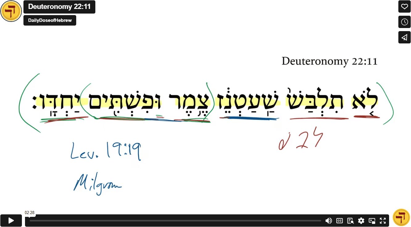 Deuteronomy 22:11