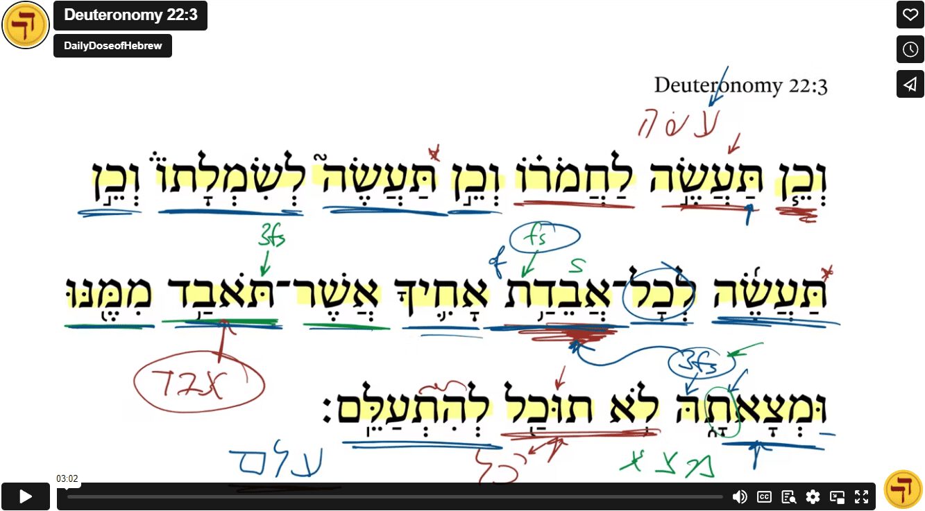 Deuteronomy 22:3
