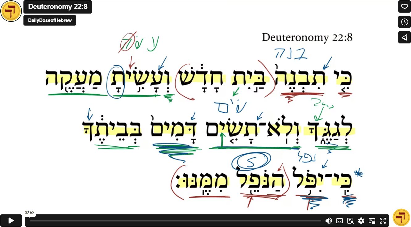 Deuteronomy 22:8