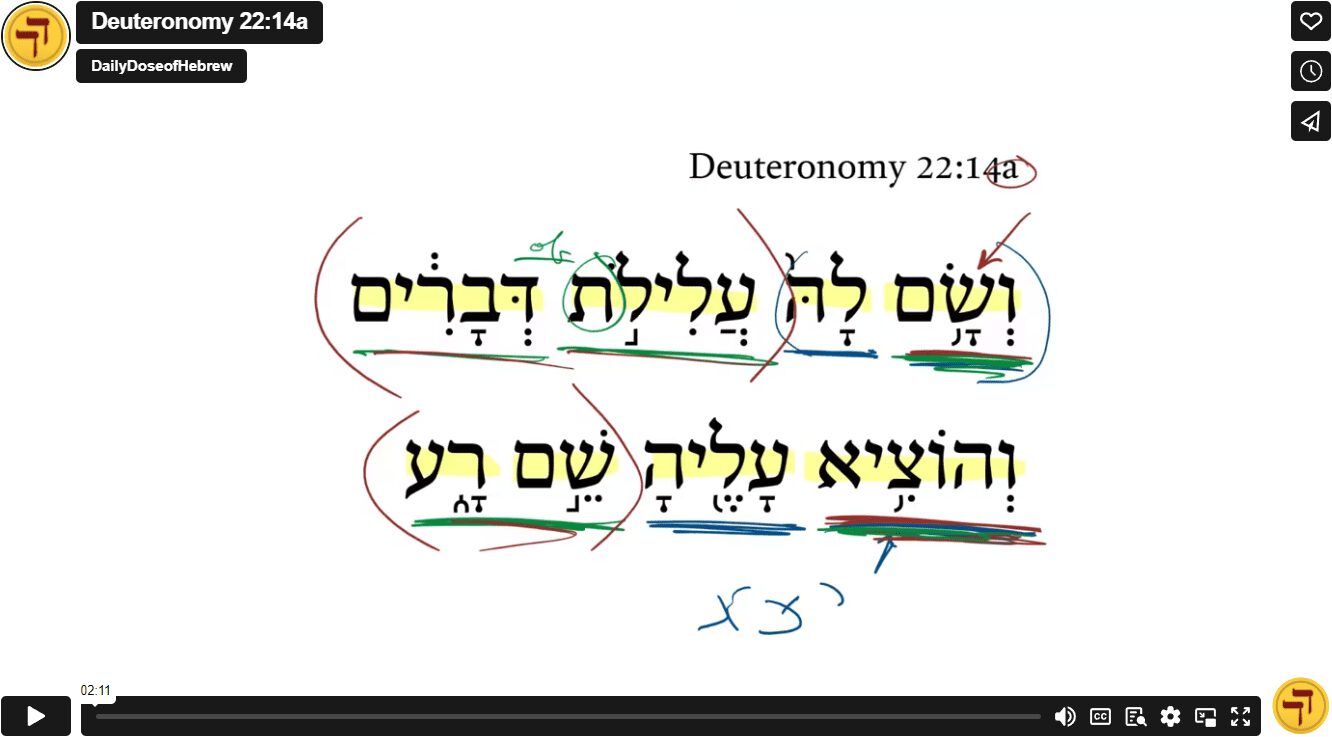 Deuteronomy 22:14a