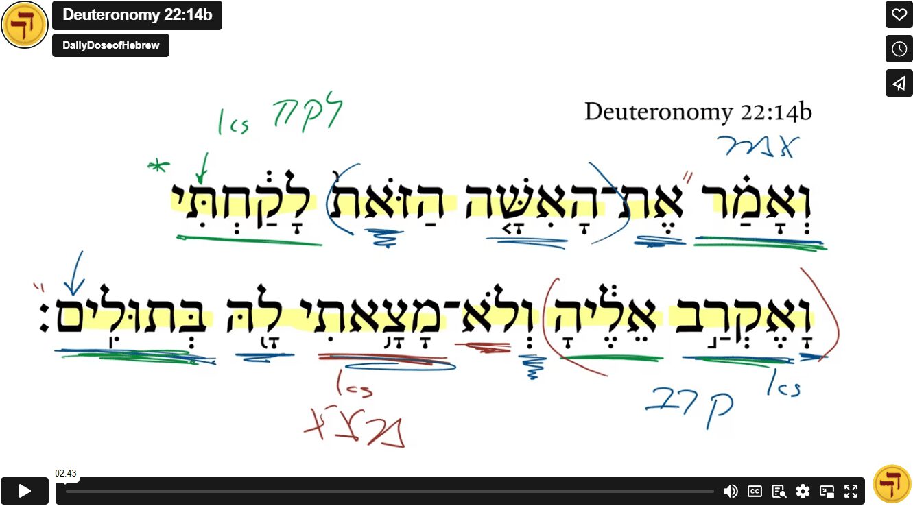 Deuteronomy 22:14b