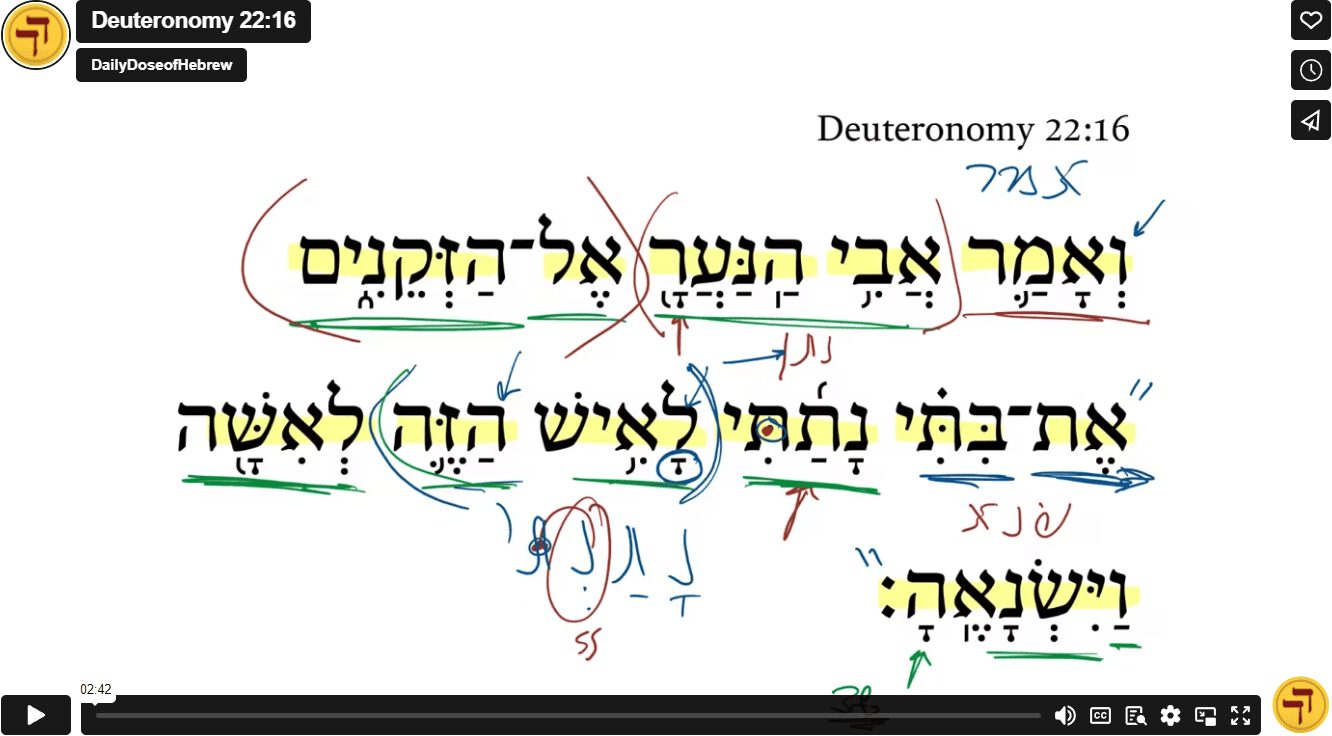 Deuteronomy 22:16