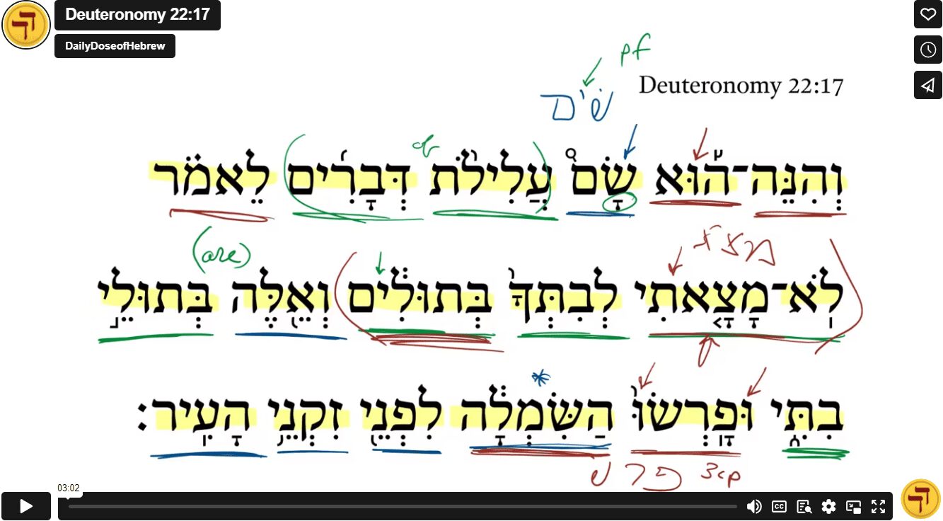Deuteronomy 22:17