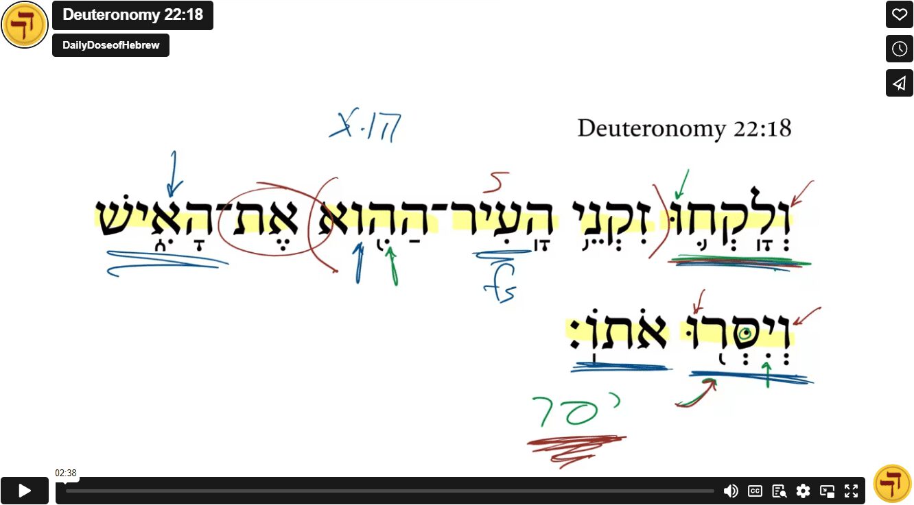 Deuteronomy 22:18