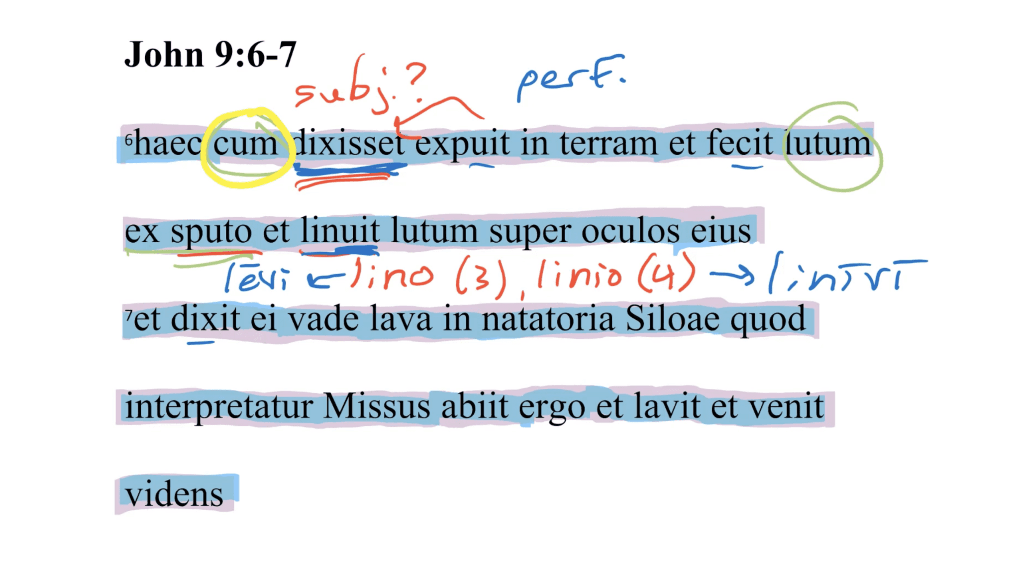 John 9:6-7 Latin Vulgate