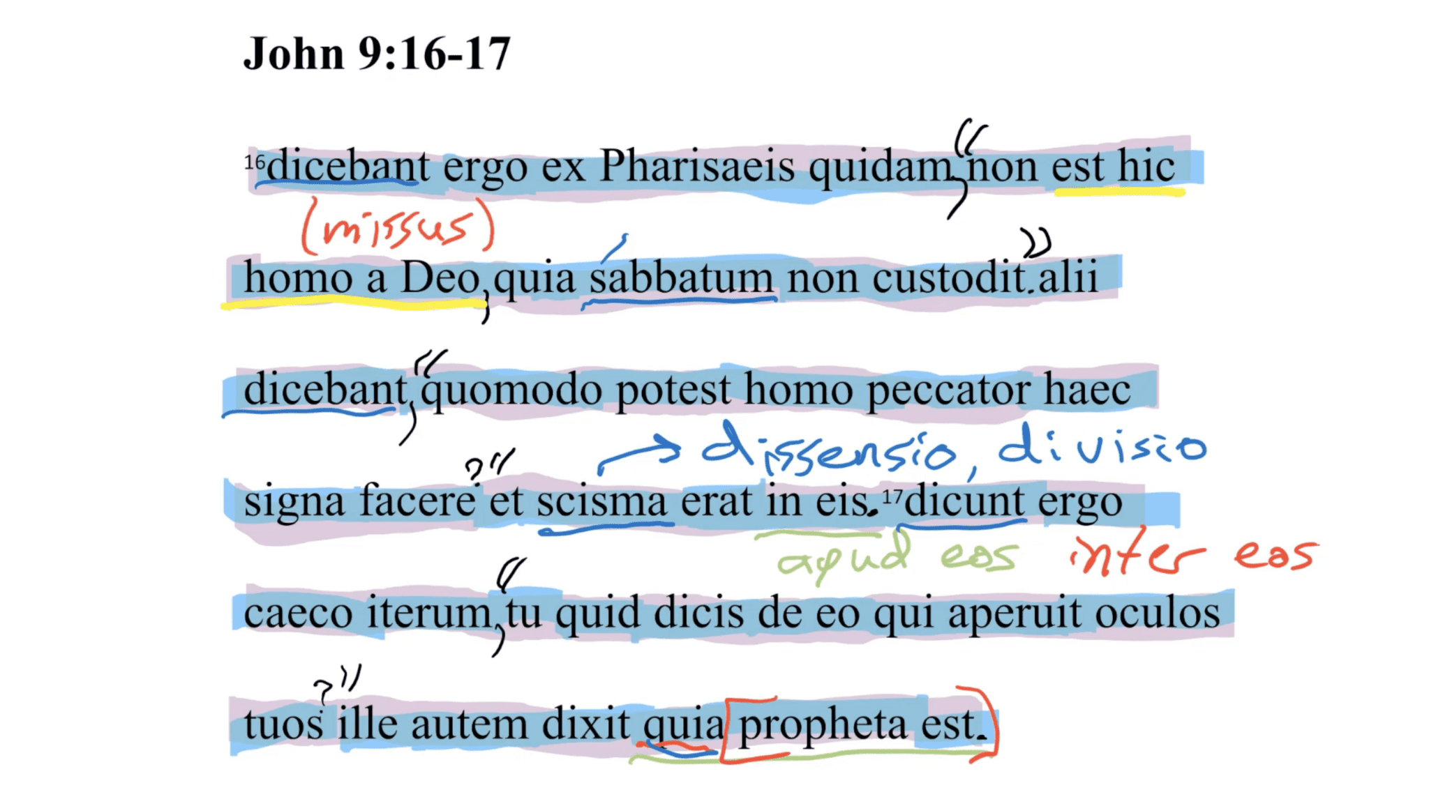 John 9:16-17 Latin Vulgate