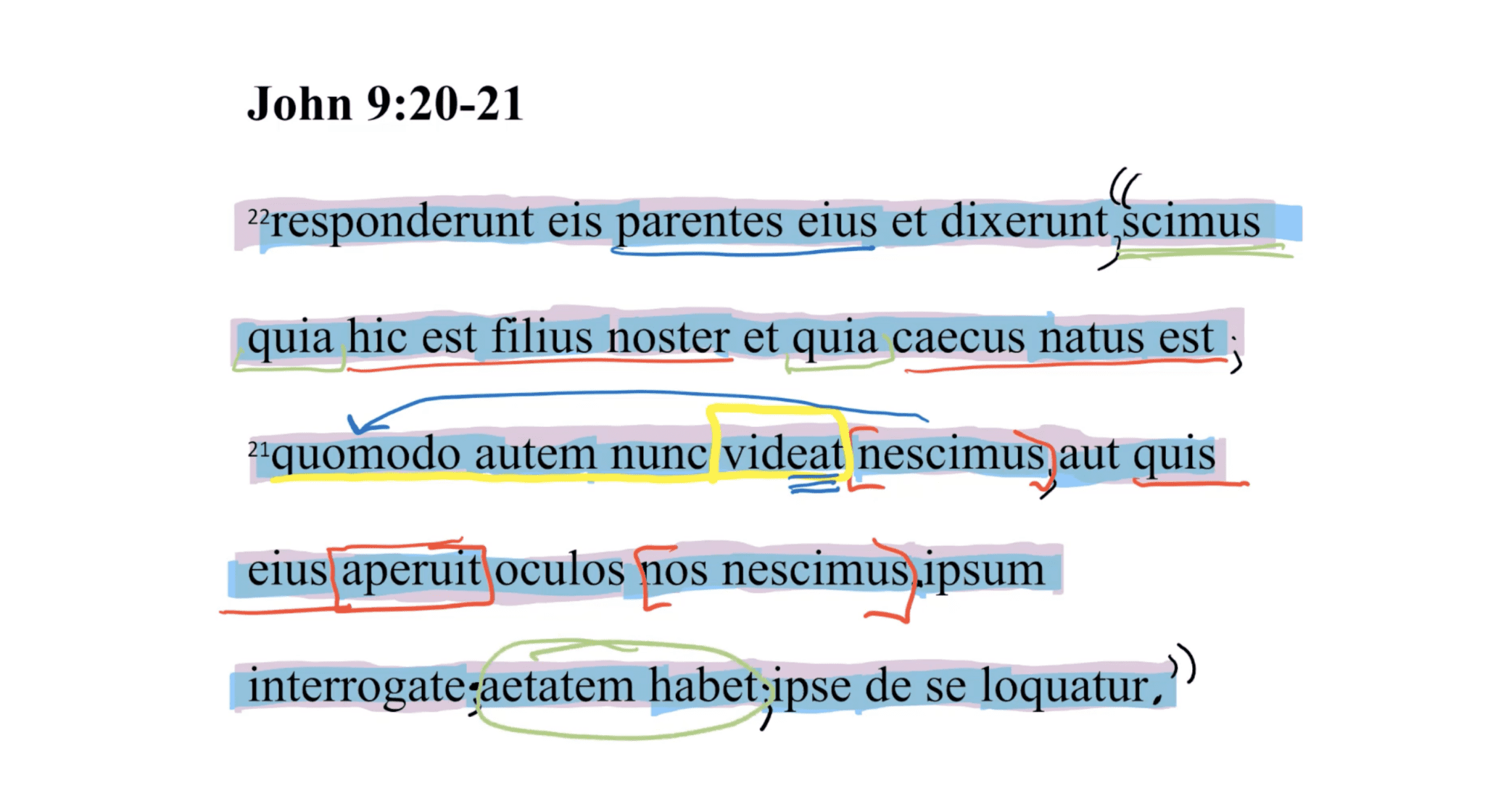 John 9:20-21 Latin Vulgate