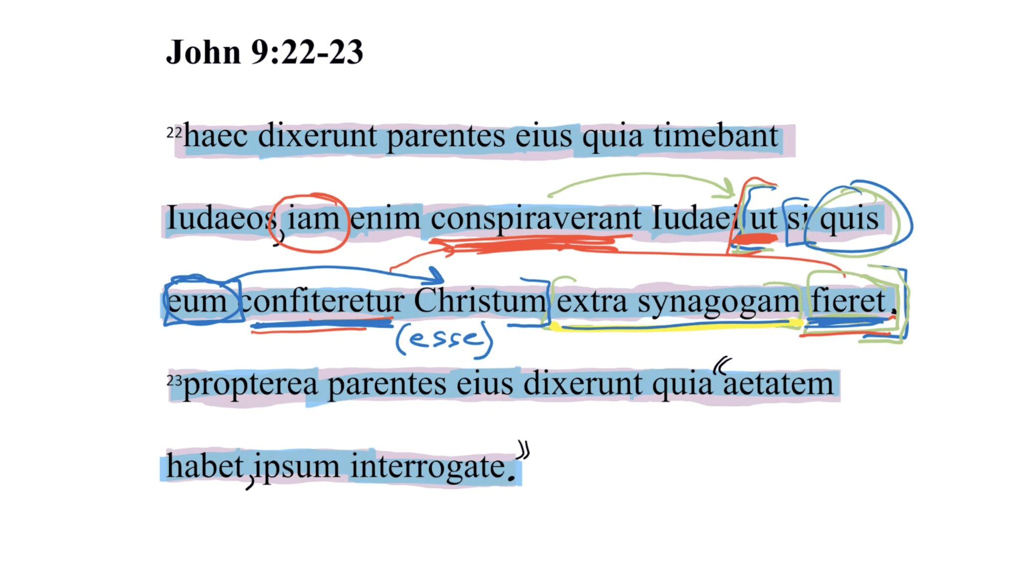 John 9:22-23 Latin Vulgate