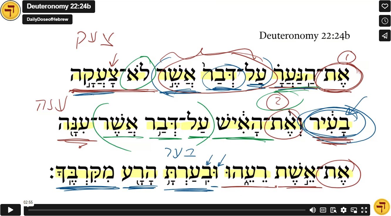 Deuteronomy 22:24b